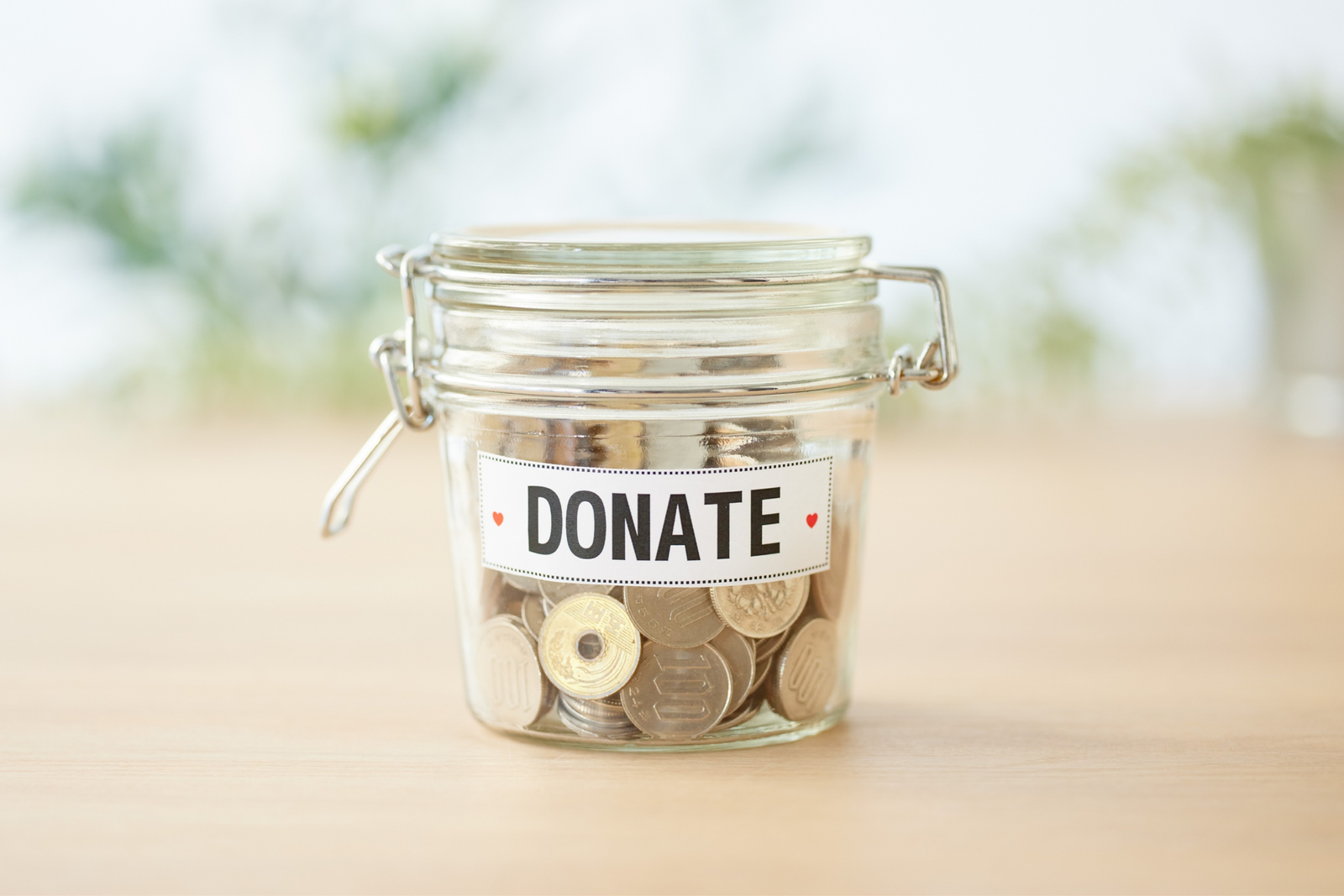 Donation to USA Hare News Matters